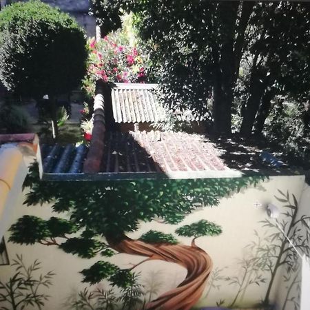 مونبيلييه Suite Farniente Avec Patio Et Clim المظهر الخارجي الصورة